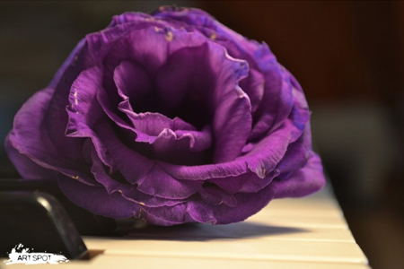 סדנת צילום אתר קורסים