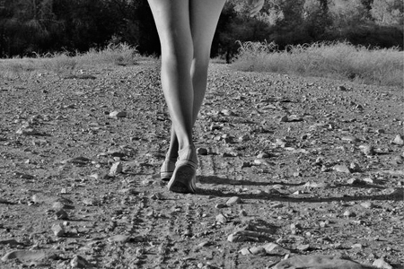 צילום הריון אתר קורסים