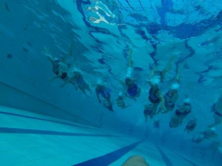 קורס מדריכי שחייה