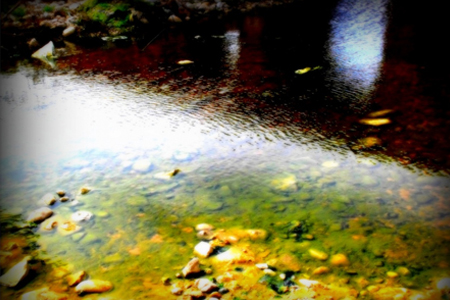 סדנת צילום אתר קורסים