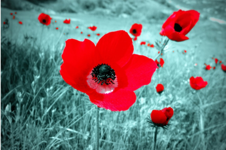 סדנת צילום אתר קורסים