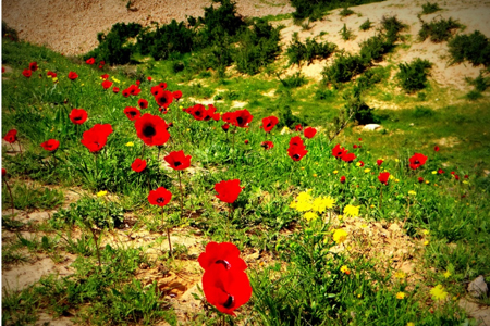 סדנת צילום אתר קורסים