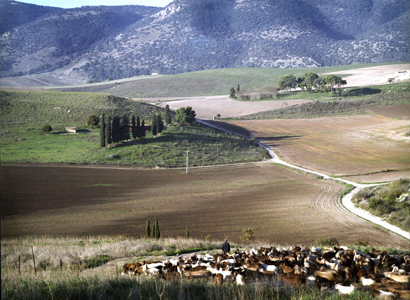 קורס צילום בירושלים אתר קורסים יעל הרמן