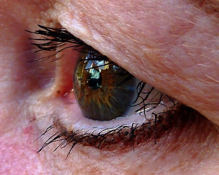 אירידיולוגיה למתקדמים