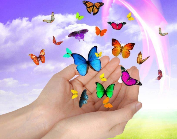 תילתן המכללה לרפואה משלימה – חיפה